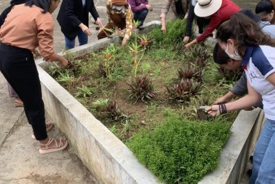 HƯỞNG ỨNG PHONG TRÀO TRỒNG VÀ CHĂM SÓC CÂY XANH CỦA THẦY VÀ TRÒ TRƯỜNG THCS TRẦN HƯNG ĐẠO.